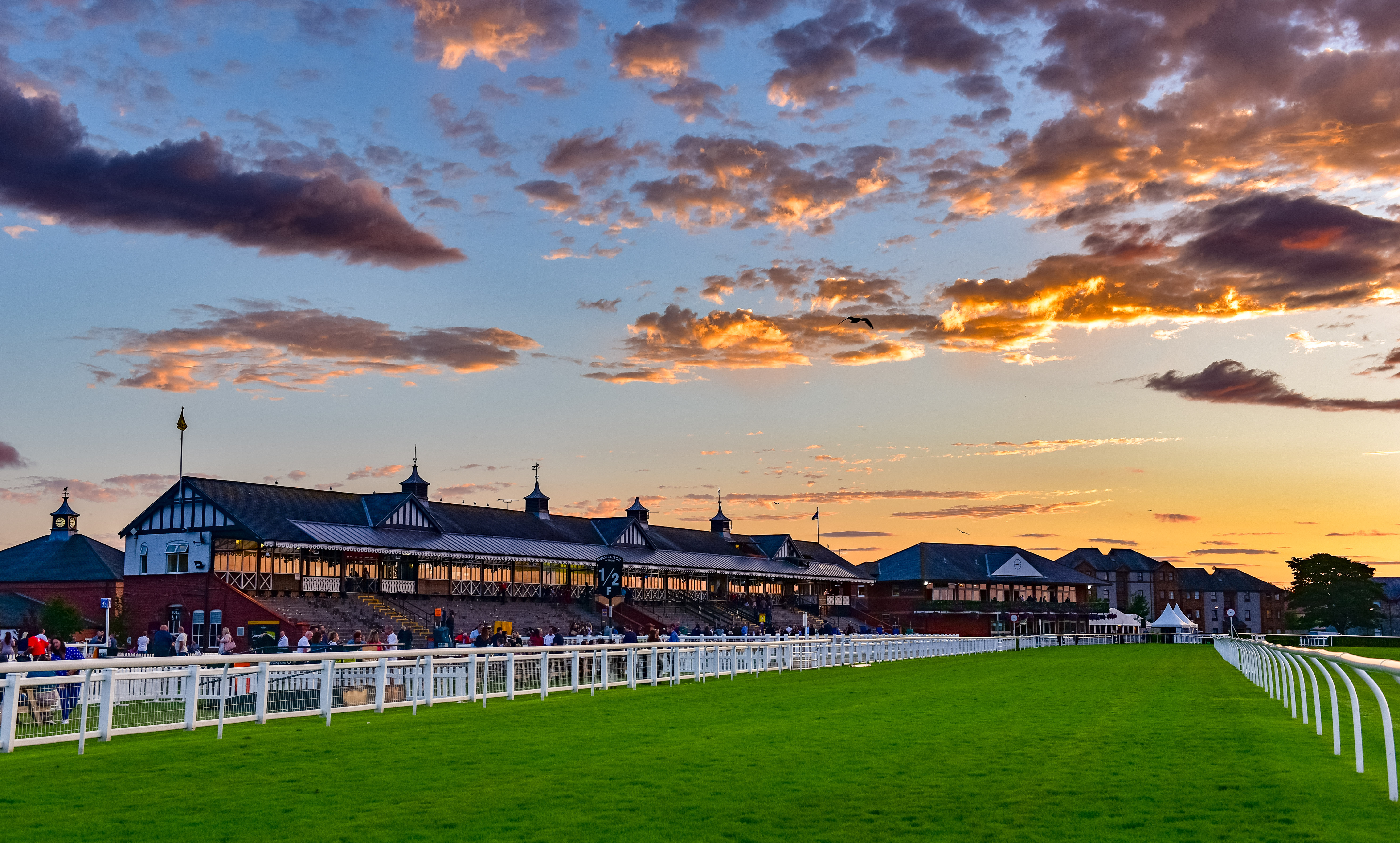 A field with a crowd of people in the backgroundAI-generated content may be incorrect.